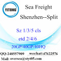 Shenzhen Port Sea Freight Shipping Para Split